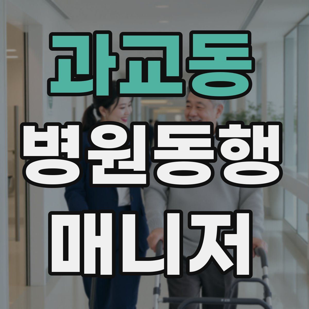과교동 병원동행매니저 자격증
