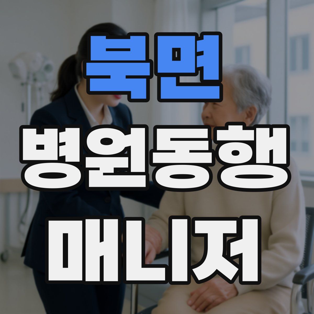 북면 병원동행매니저 자격증