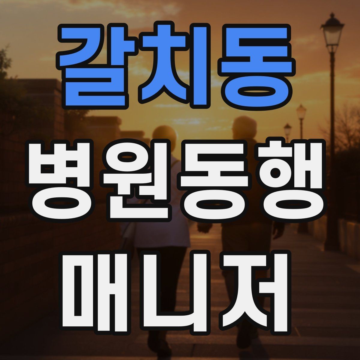 갈치동 병원동행매니저 자격증 한 번에 이해하는 동행업무 핵심 정리