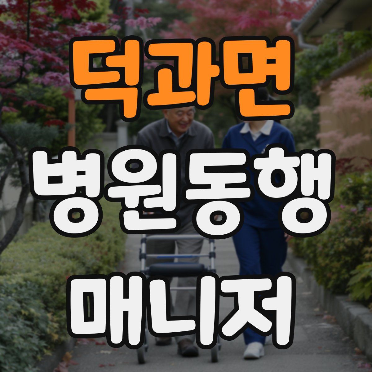 덕과면 병원동행매니저 자격증