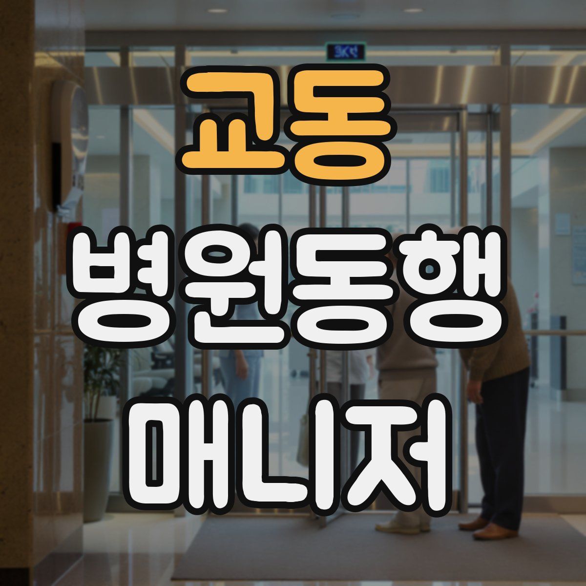 교동 병원동행매니저 자격증