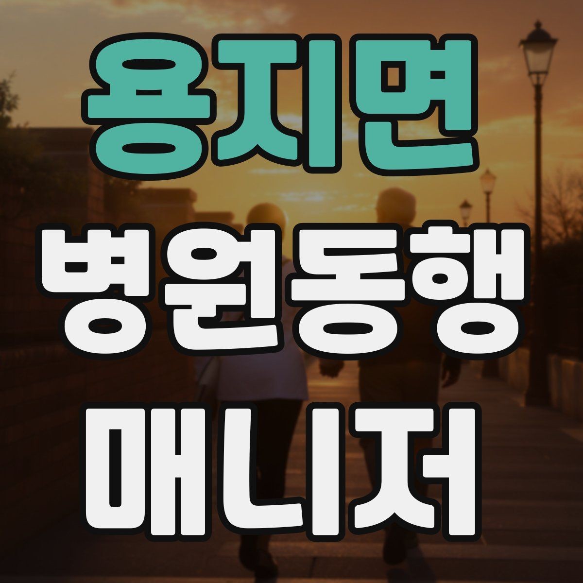 용지면 병원동행매니저 자격증 과정 선택 전에 확인해야 할 안내문