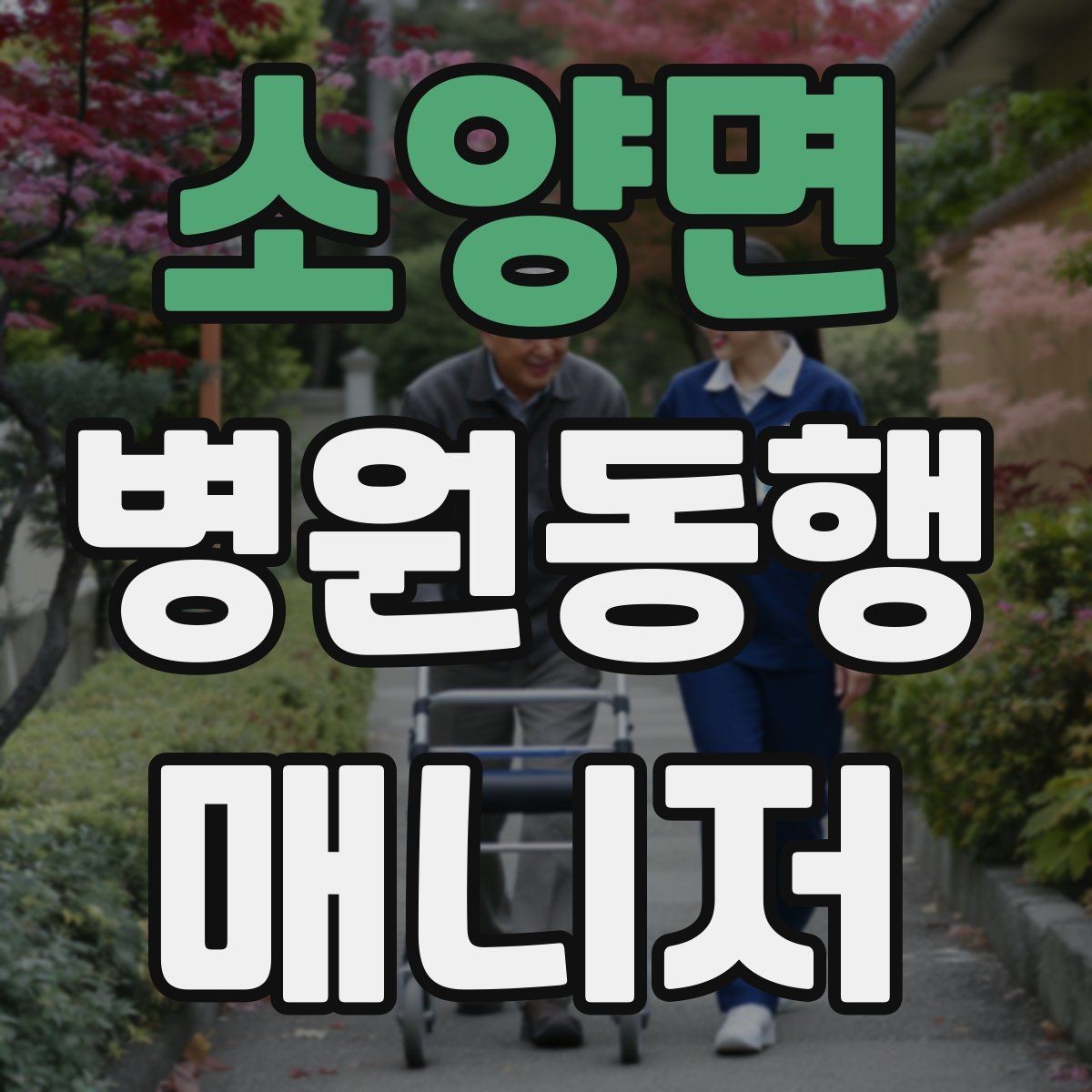 소양면 병원동행매니저 자격증 낙상 위험 줄이는 동행 자세