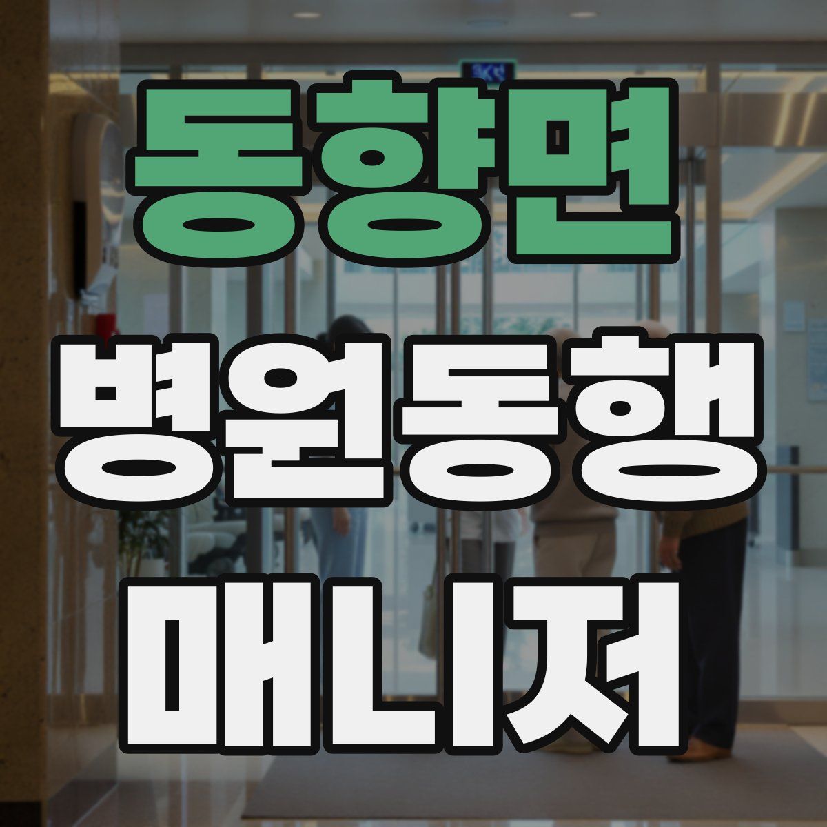 동향면 병원동행매니저 자격증