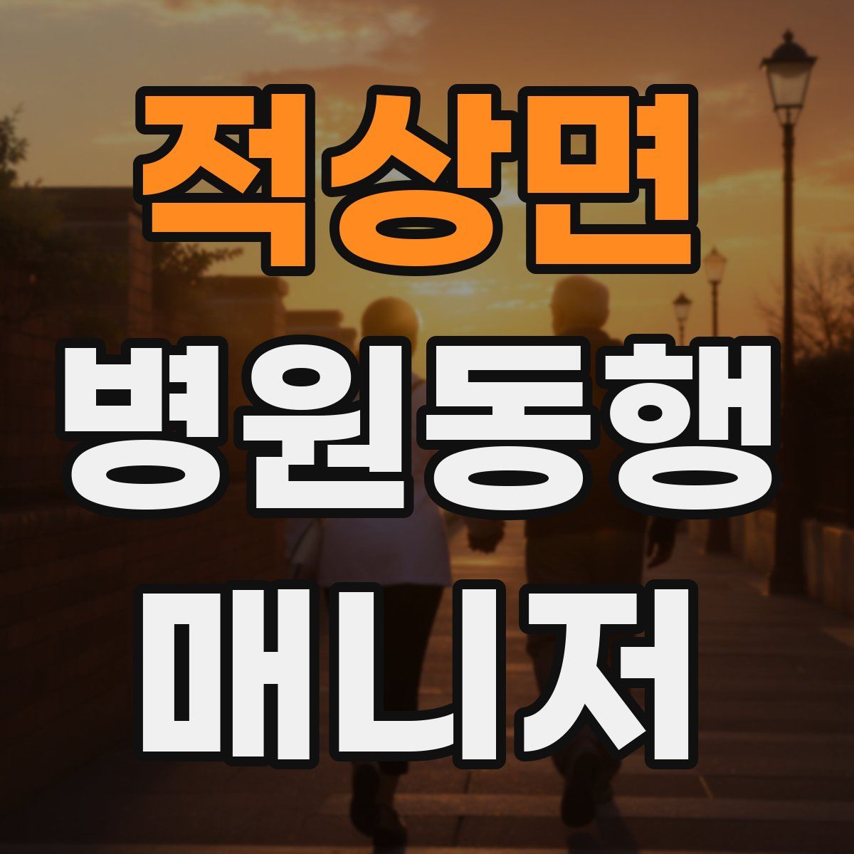 적상면 병원동행매니저 자격증