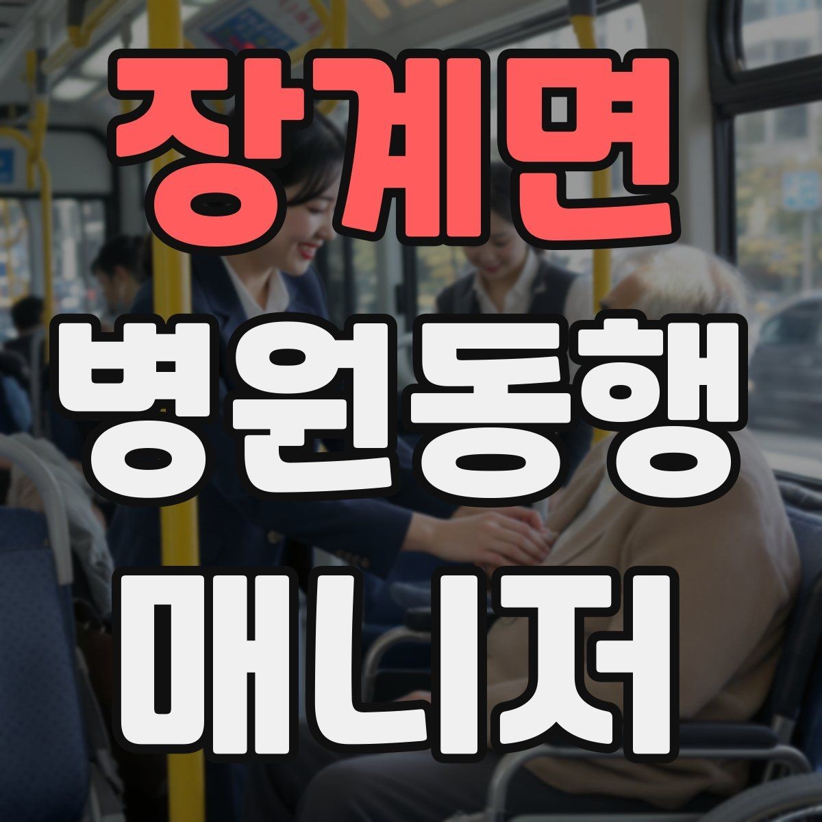 장계면 병원동행매니저 자격증 교육 시간과 시험 방식 비교 포인트