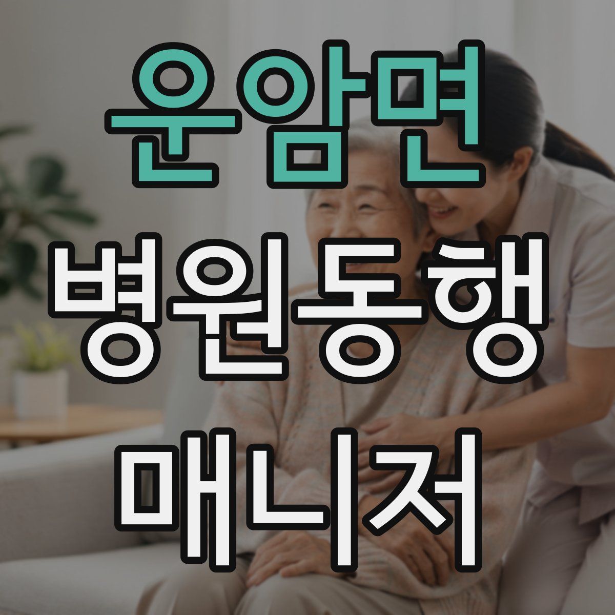 운암면 병원동행매니저 자격증
