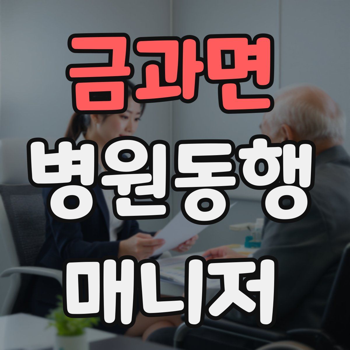 금과면 병원동행매니저 자격증