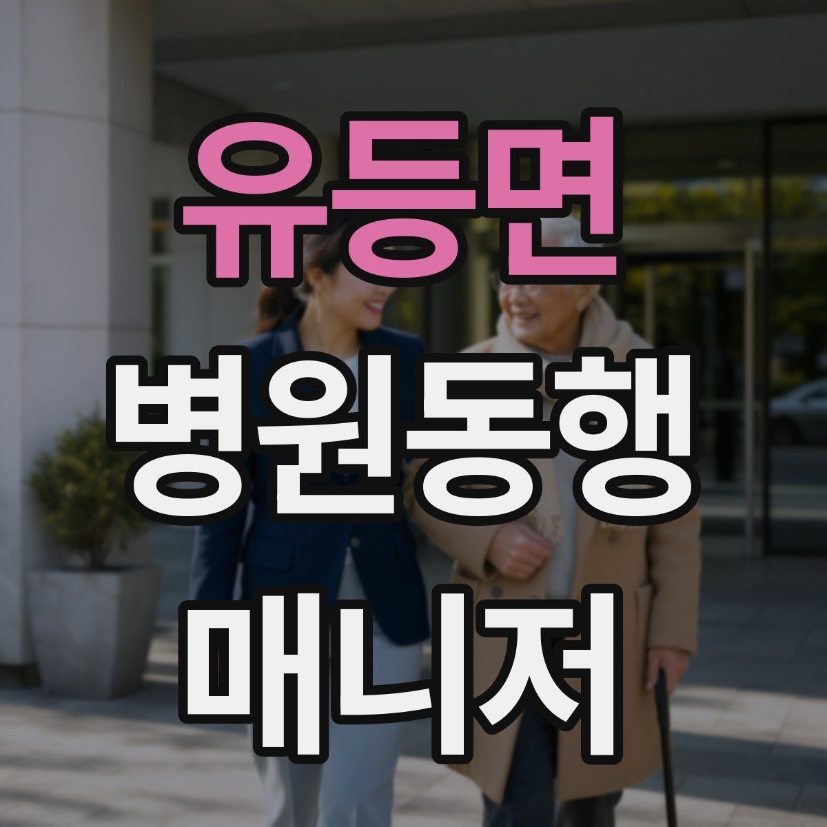 유등면 병원동행매니저 자격증 설명은 짧고 정확하게가 좋은 이유