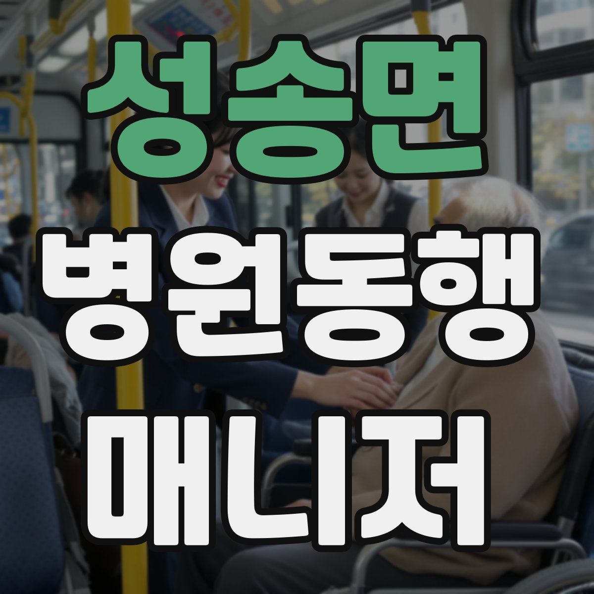 성송면 병원동행매니저 자격증