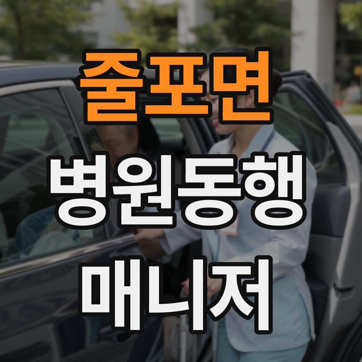 줄포면 병원동행매니저 자격증