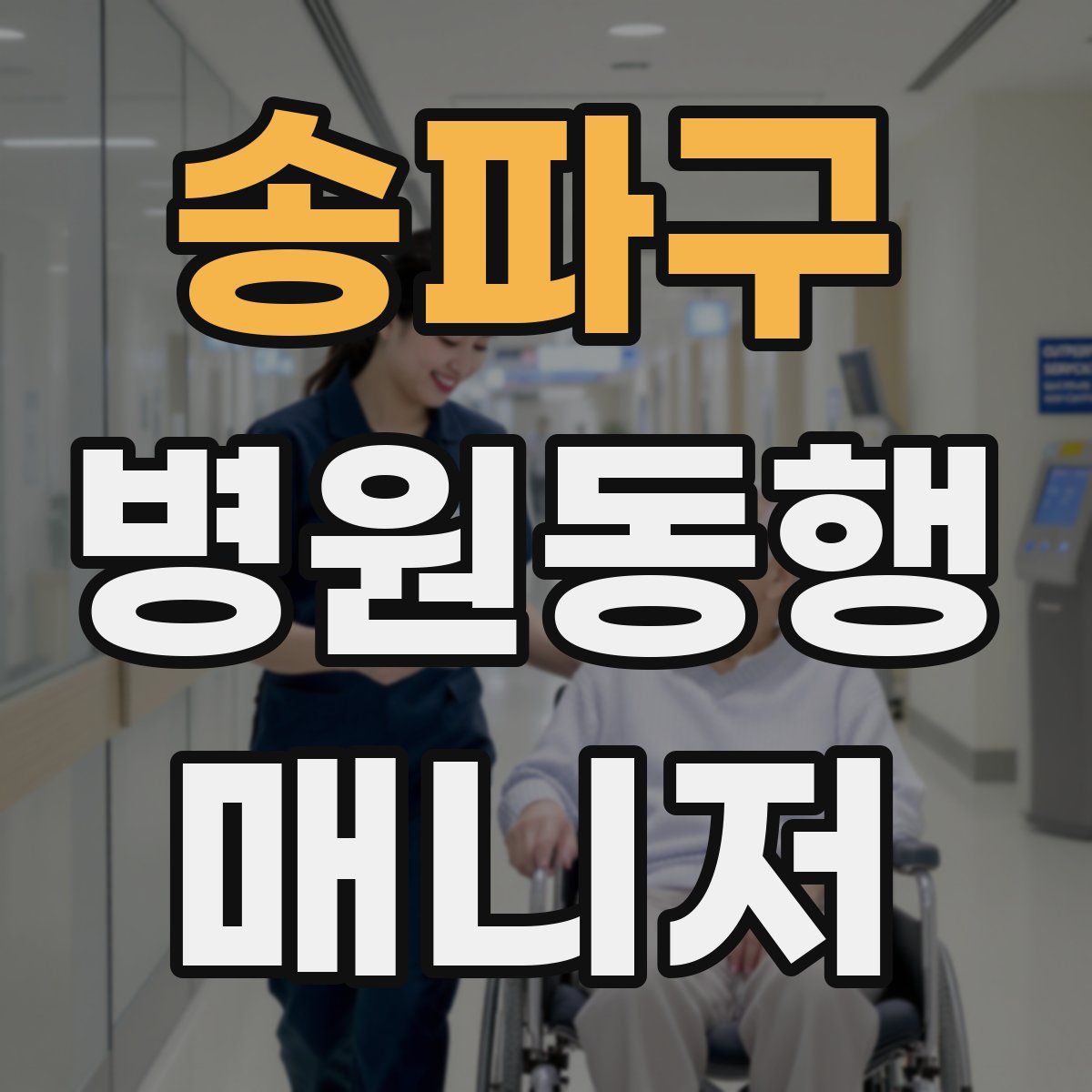 송파구 병원동행매니저 자격증