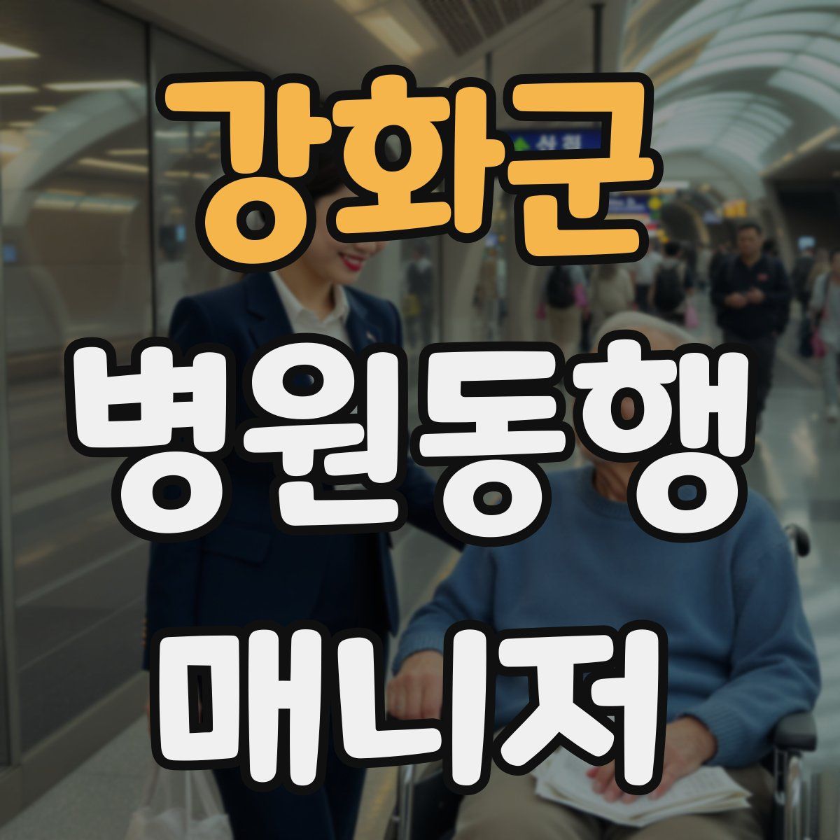 강화군 병원동행매니저 자격증