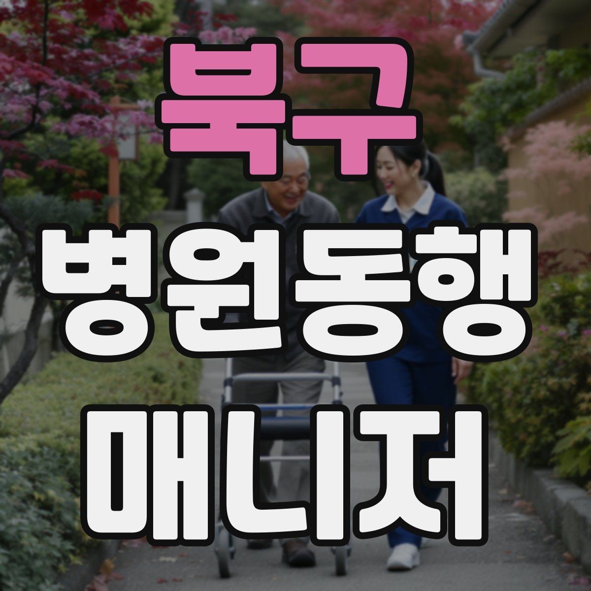 북구 병원동행매니저 자격증 검사 동행과 진료 동행 차이