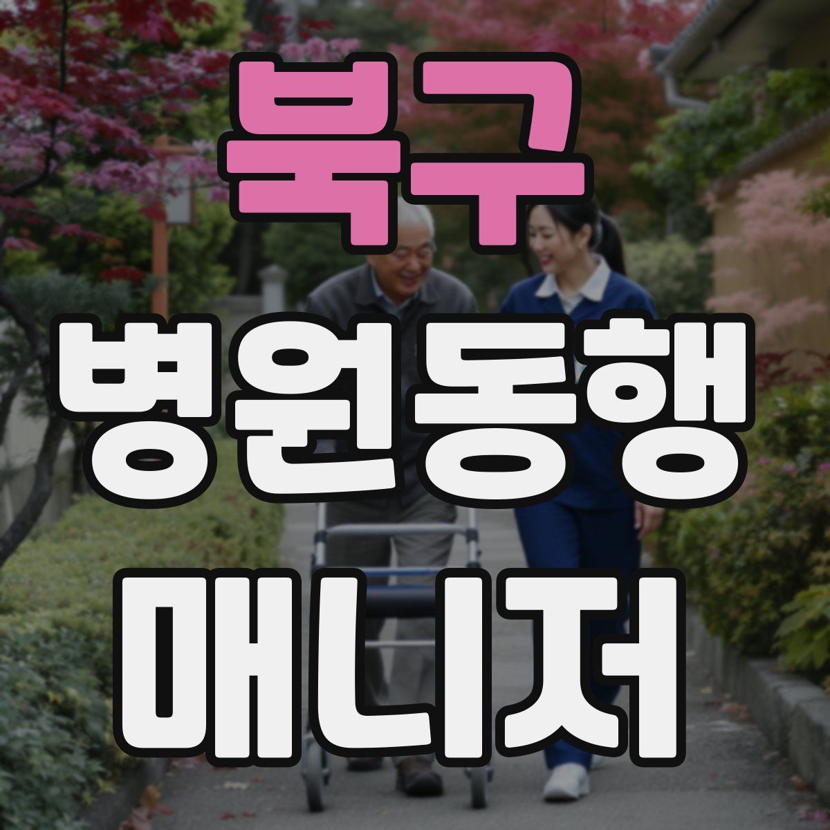 북구 병원동행매니저 자격증