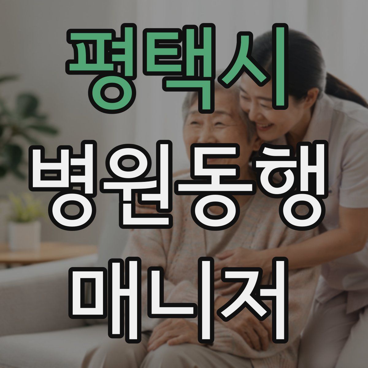 평택시 병원동행매니저 자격증