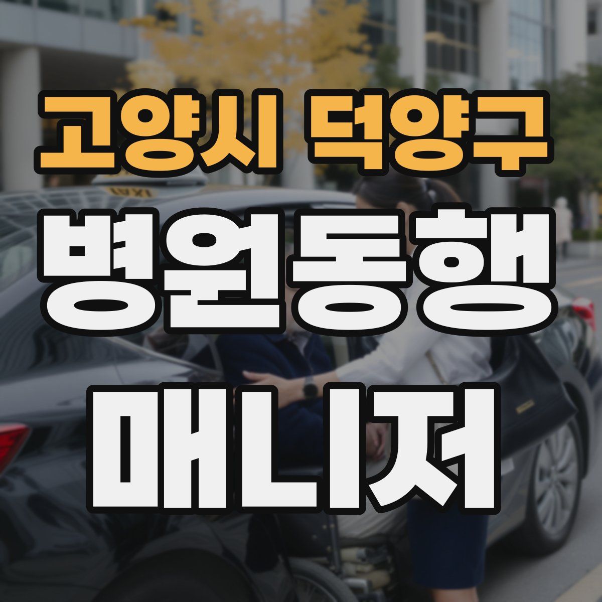 고양시 덕양구 병원동행매니저 자격증