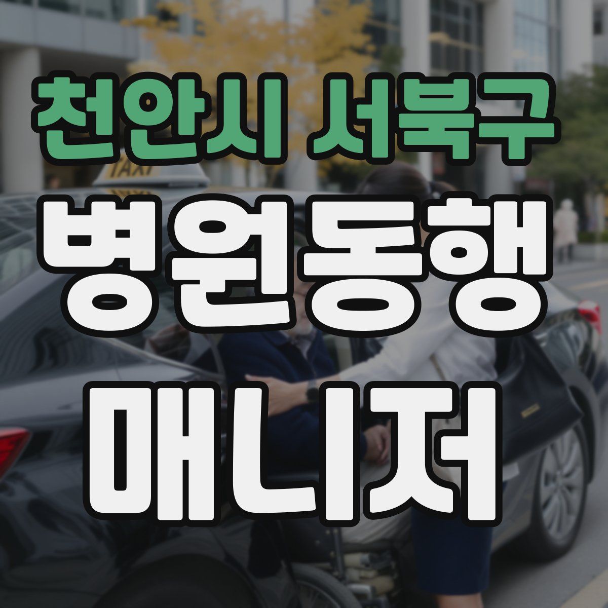 천안시 서북구 병원동행매니저 자격증