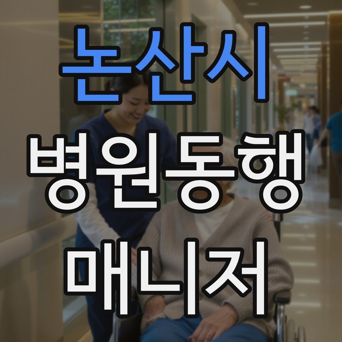 논산시 병원동행매니저 자격증 서비스 범위와 한계를 정리해보기