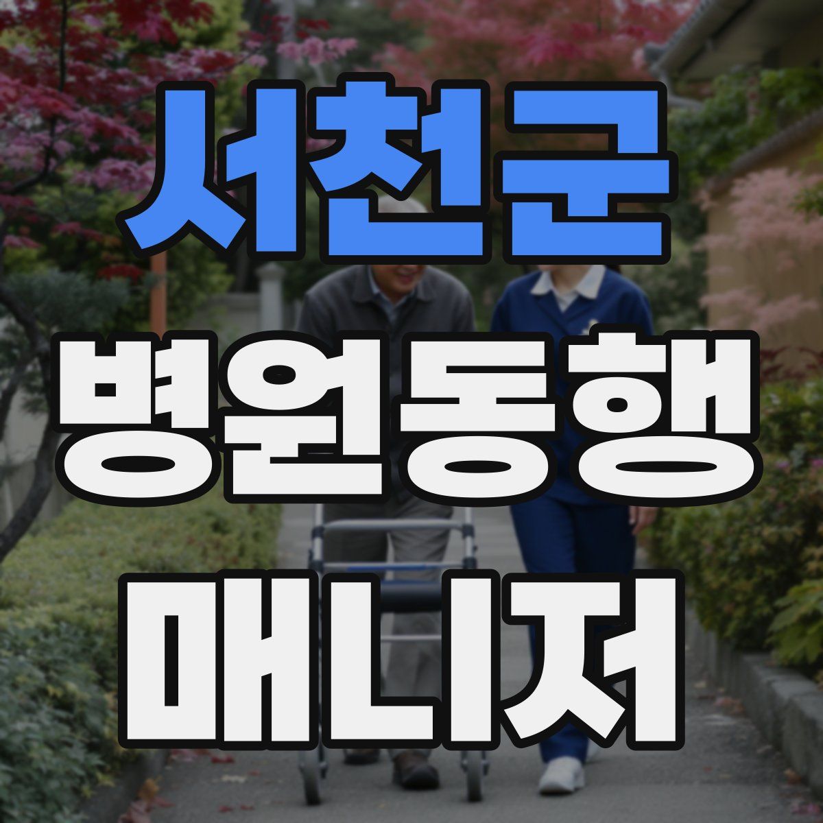 서천군 병원동행매니저 자격증