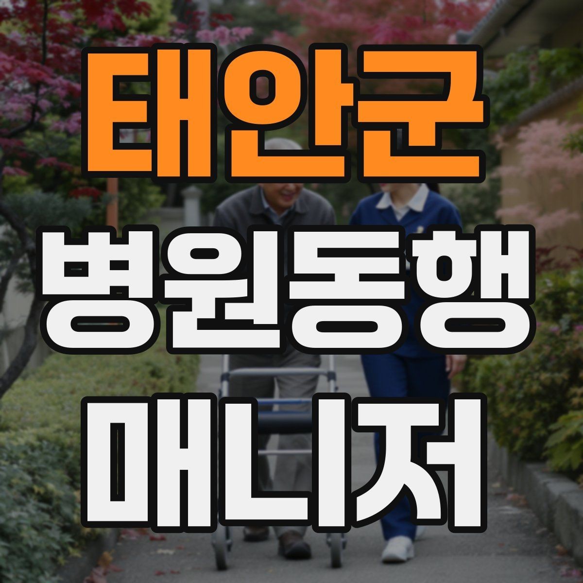 태안군 병원동행매니저 자격증 이동 중 낙상 위험 줄이는 방법