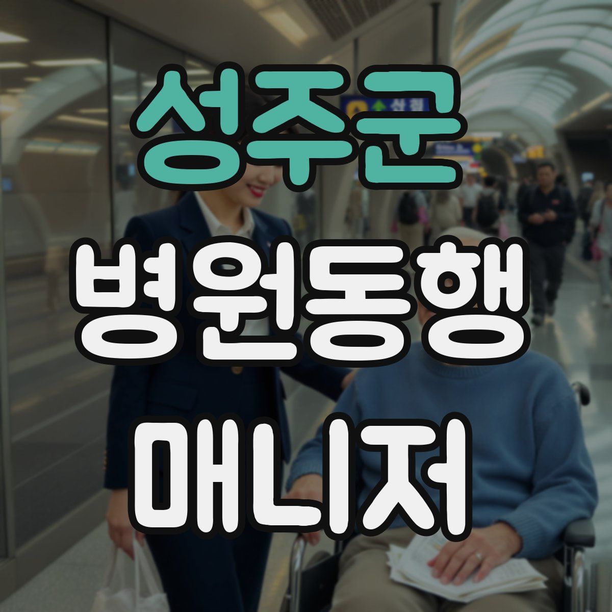 성주군 병원동행매니저 자격증