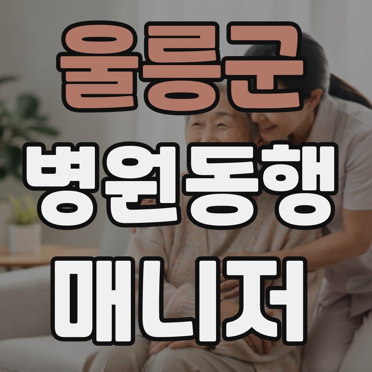 울릉군 병원동행매니저 자격증 반복 학습이 필요한 파트는 어디일까
