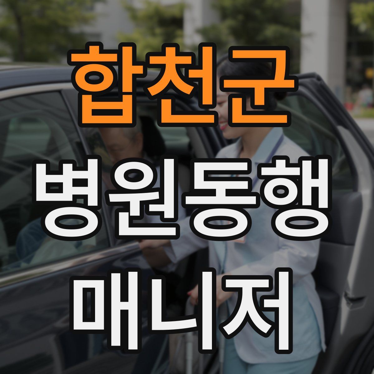 합천군 병원동행매니저 자격증