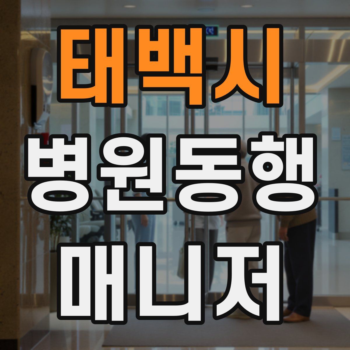 태백시 병원동행매니저 자격증