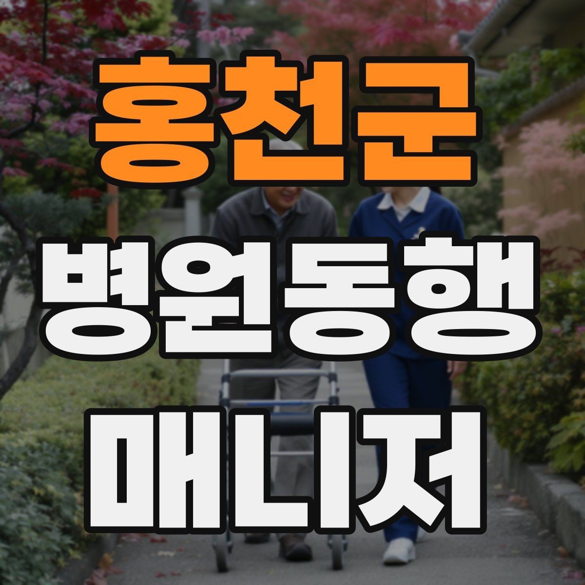 홍천군 병원동행매니저 자격증 준비부터 현장까지 한 번에 정리하기