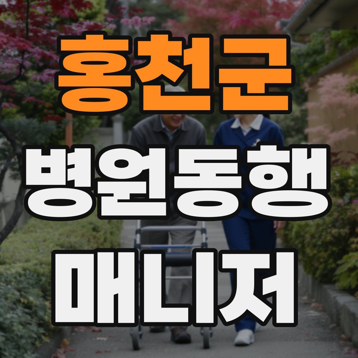 홍천군 병원동행매니저 자격증