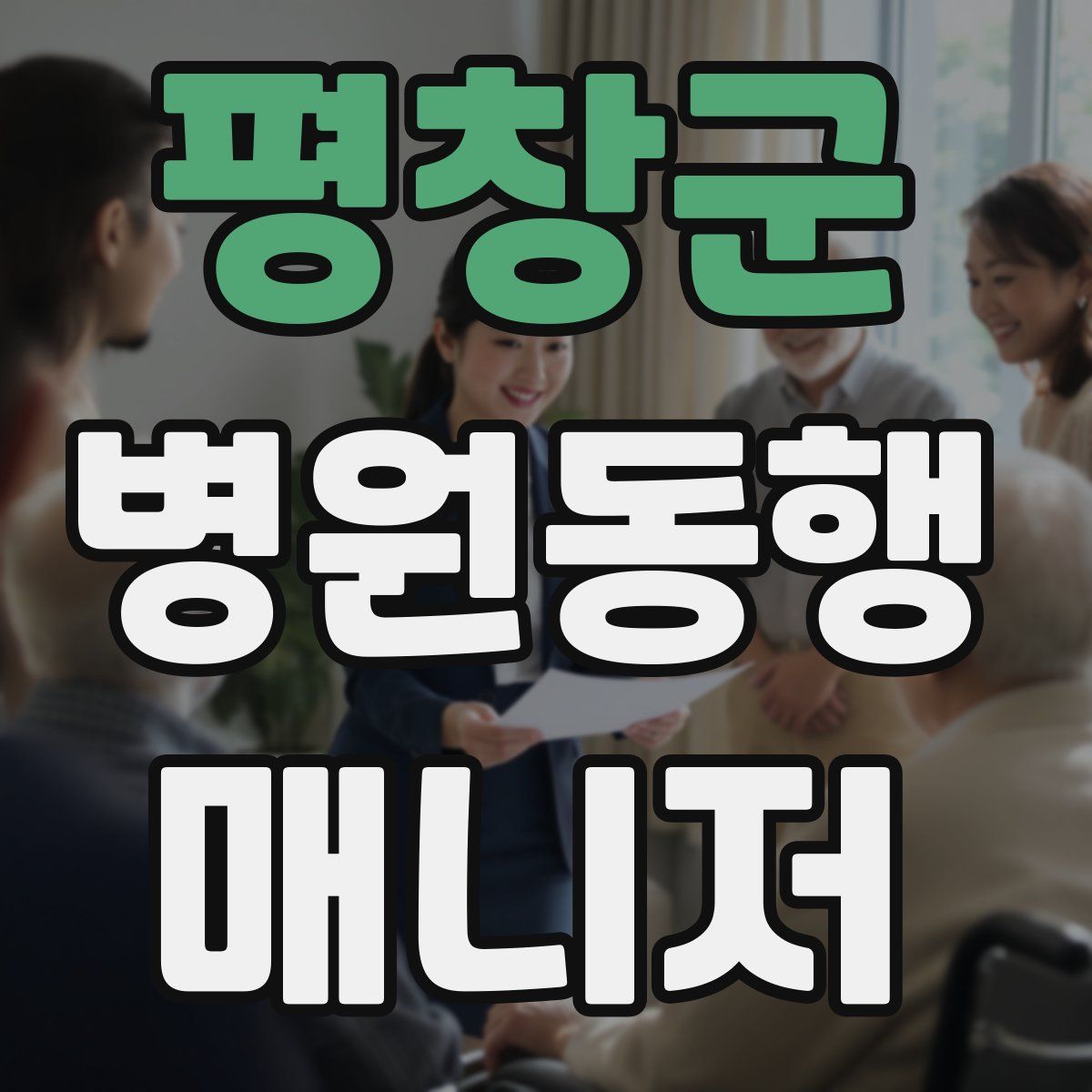 평창군 병원동행매니저 자격증