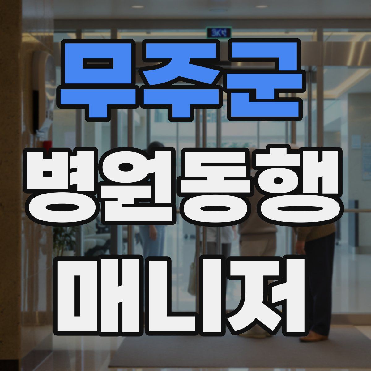 무주군 병원동행매니저 자격증