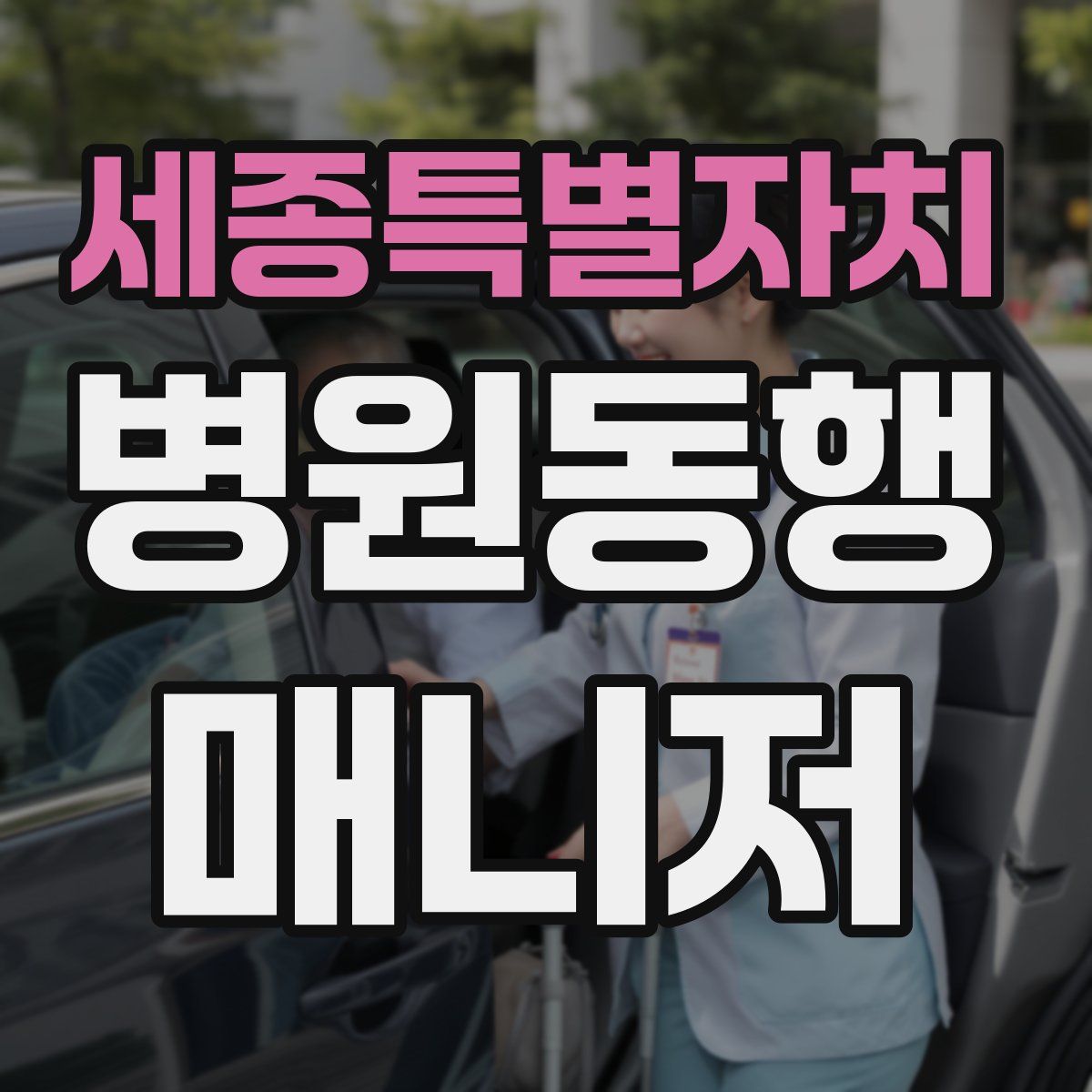 세종특별자치 병원동행매니저 자격증