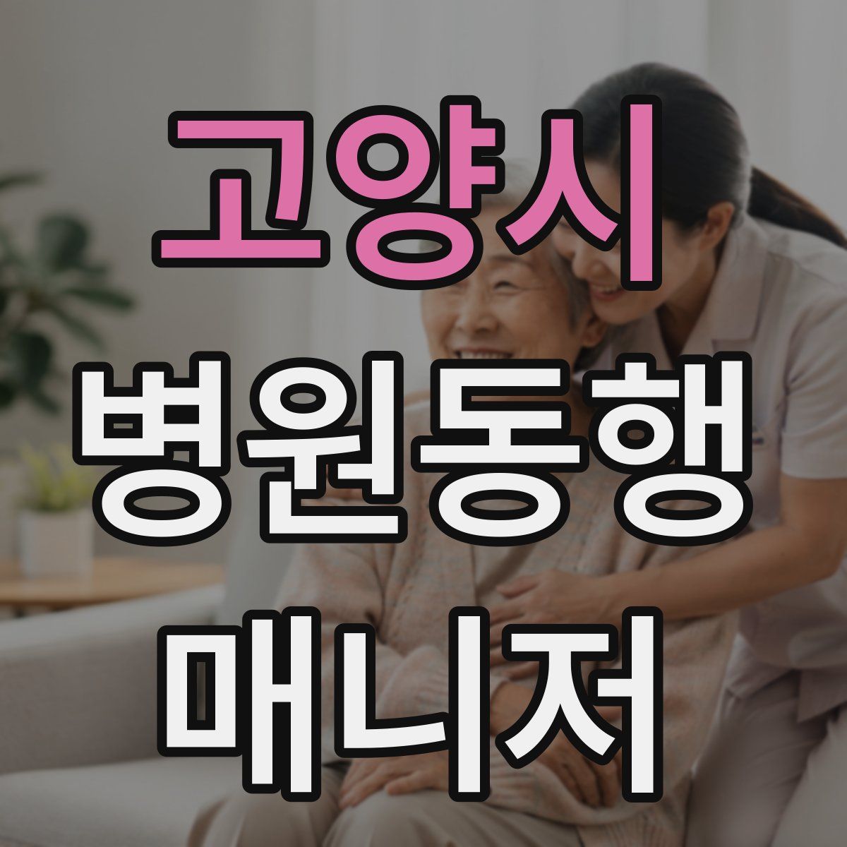 고양시 병원동행매니저 자격증