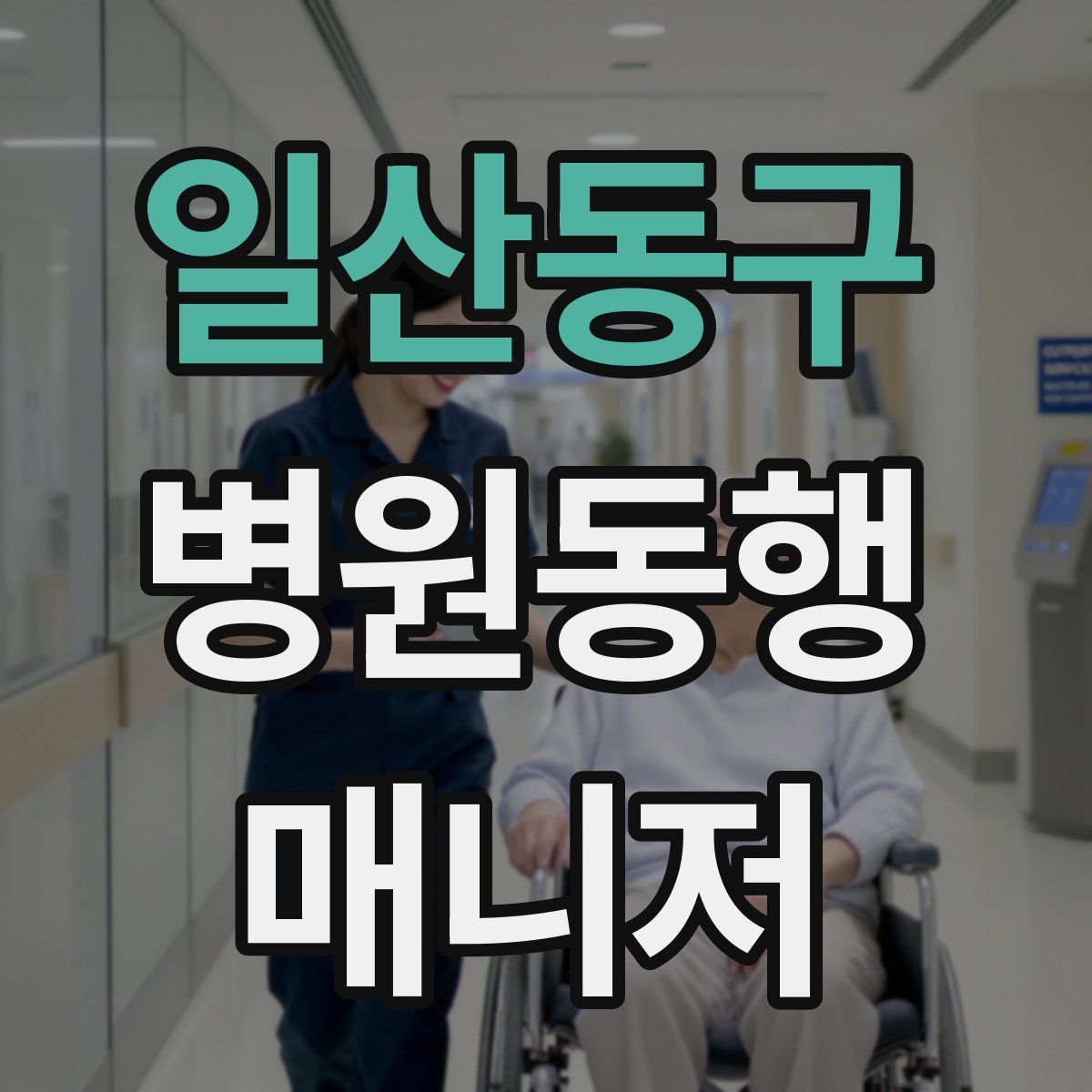 일산동구 병원동행매니저 자격증