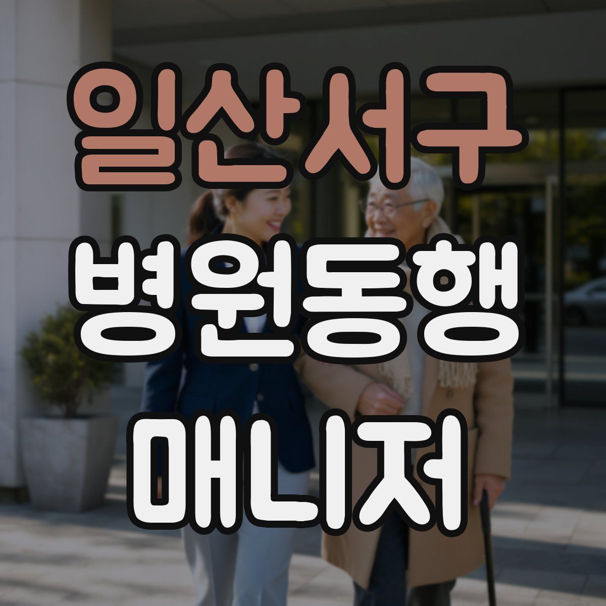 일산서구 병원동행매니저 자격증
