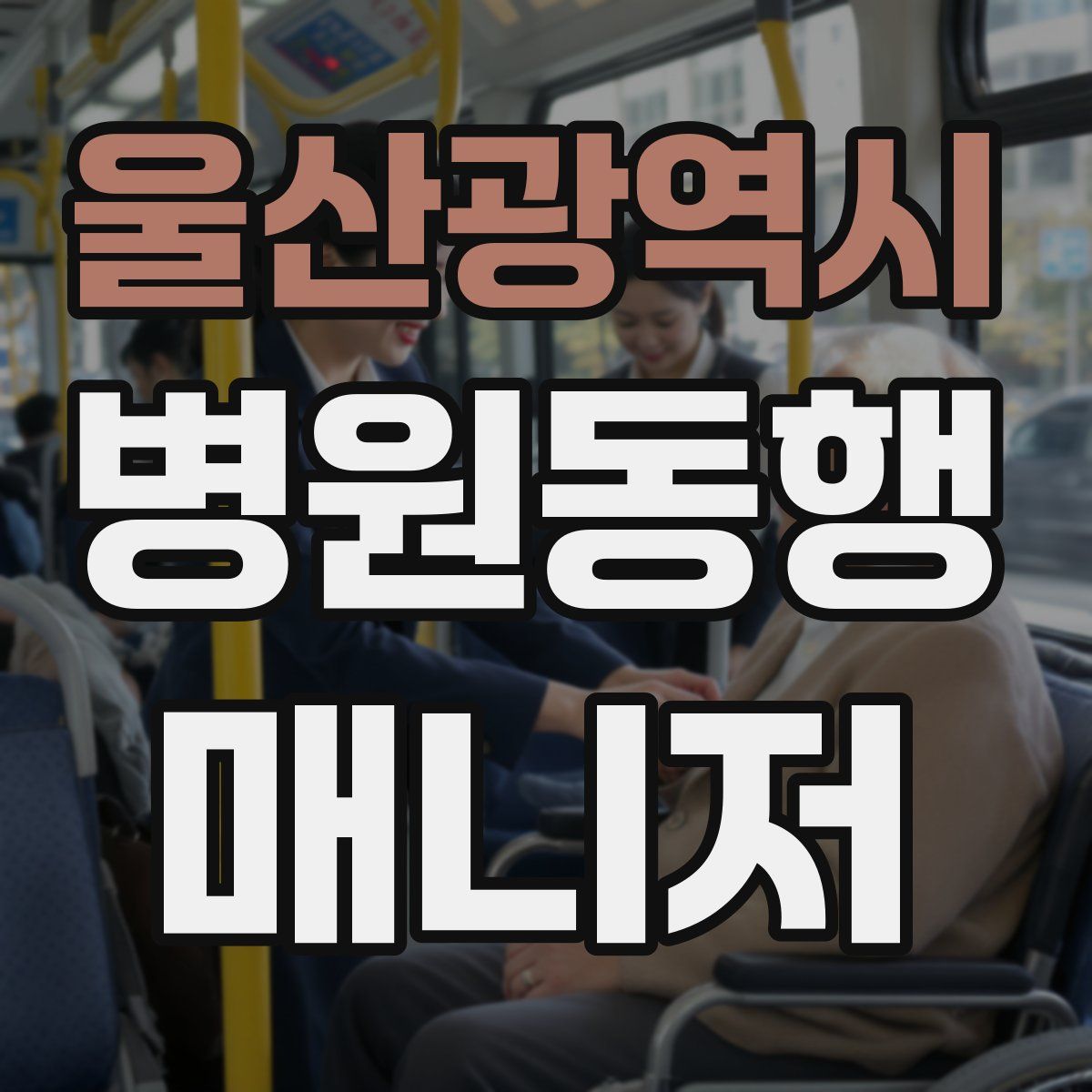 울산광역시 병원동행매니저 자격증
