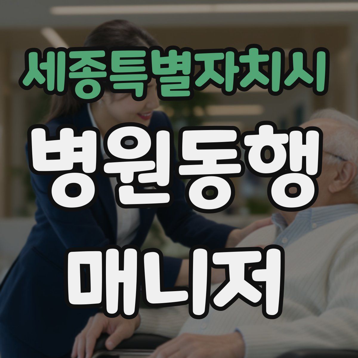 세종특별자치시 병원동행매니저 자격증