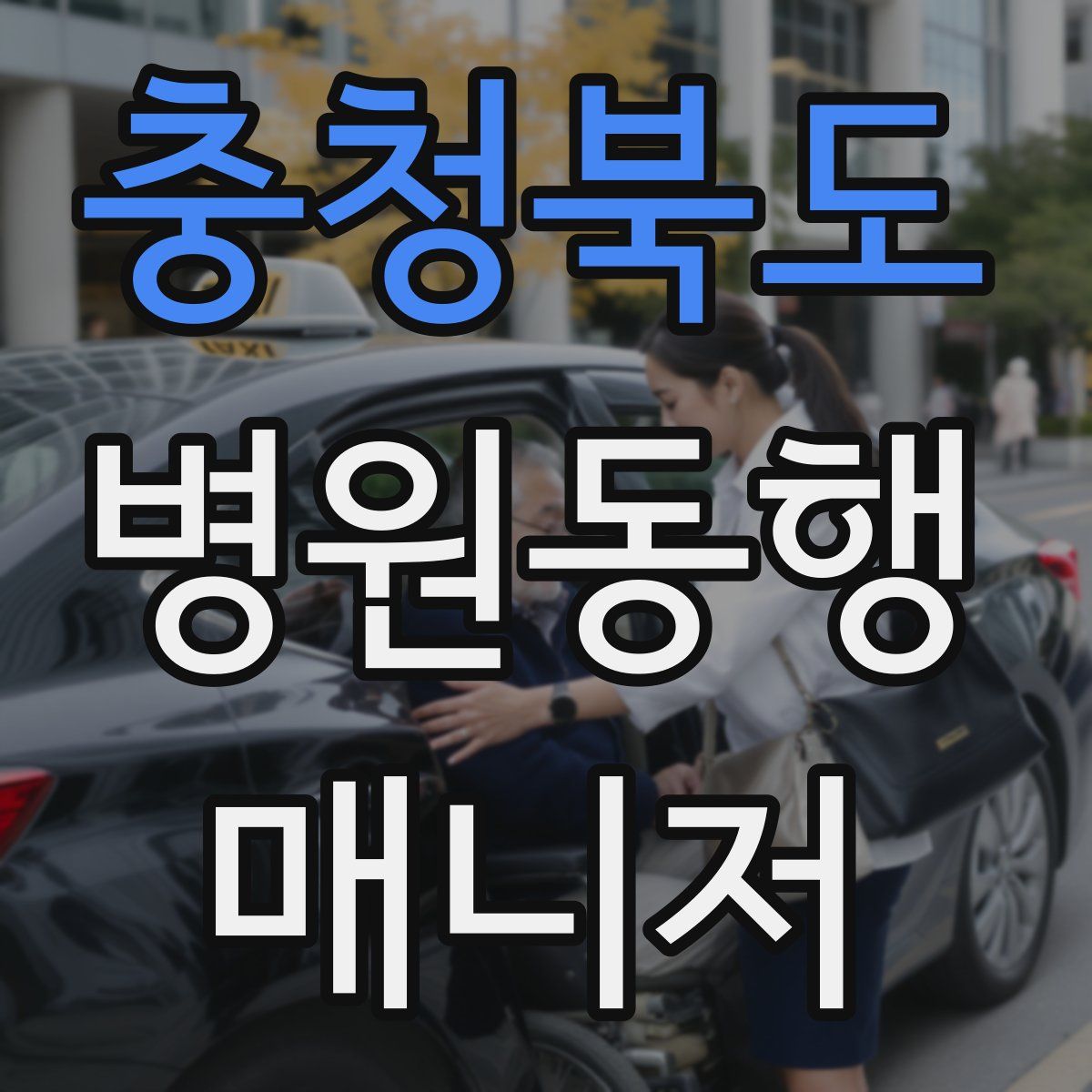 충청북도 병원동행매니저 자격증