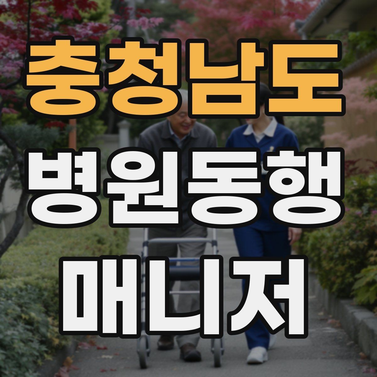 충청남도 병원동행매니저 자격증 후기 문구를 무리 없이 받는 방법