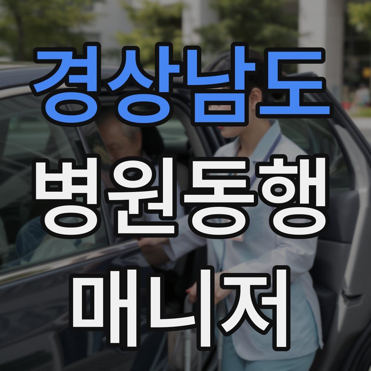 경상남도 병원동행매니저 자격증 서비스 범위 문구를 깔끔히 쓰는 방법