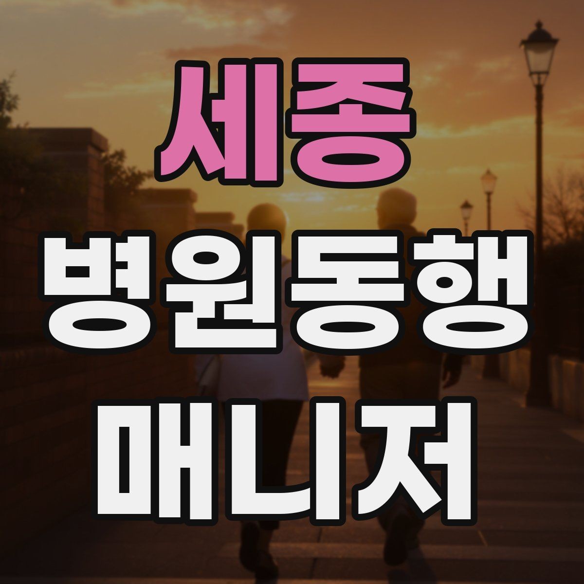세종 병원동행매니저 자격증 낙상 위험 줄이는 동행 자세