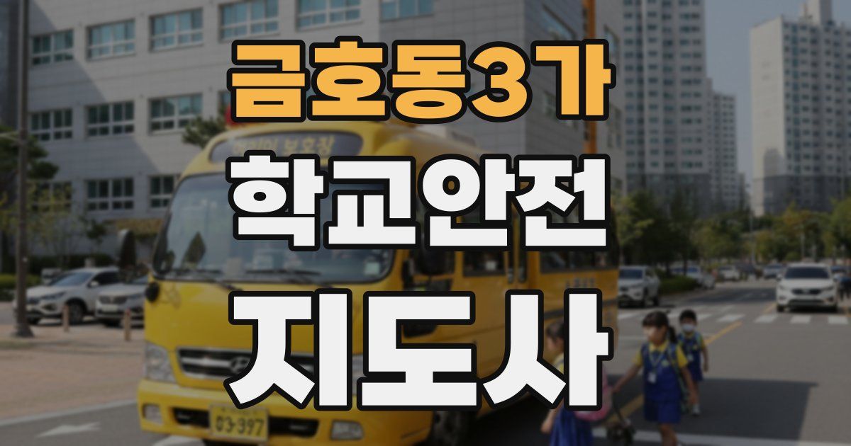 금호동3가 학교안전지도사 자격증