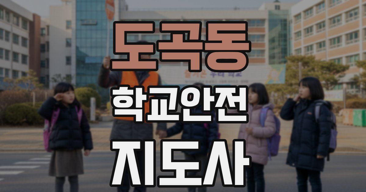 도곡동 학교안전지도사 자격증