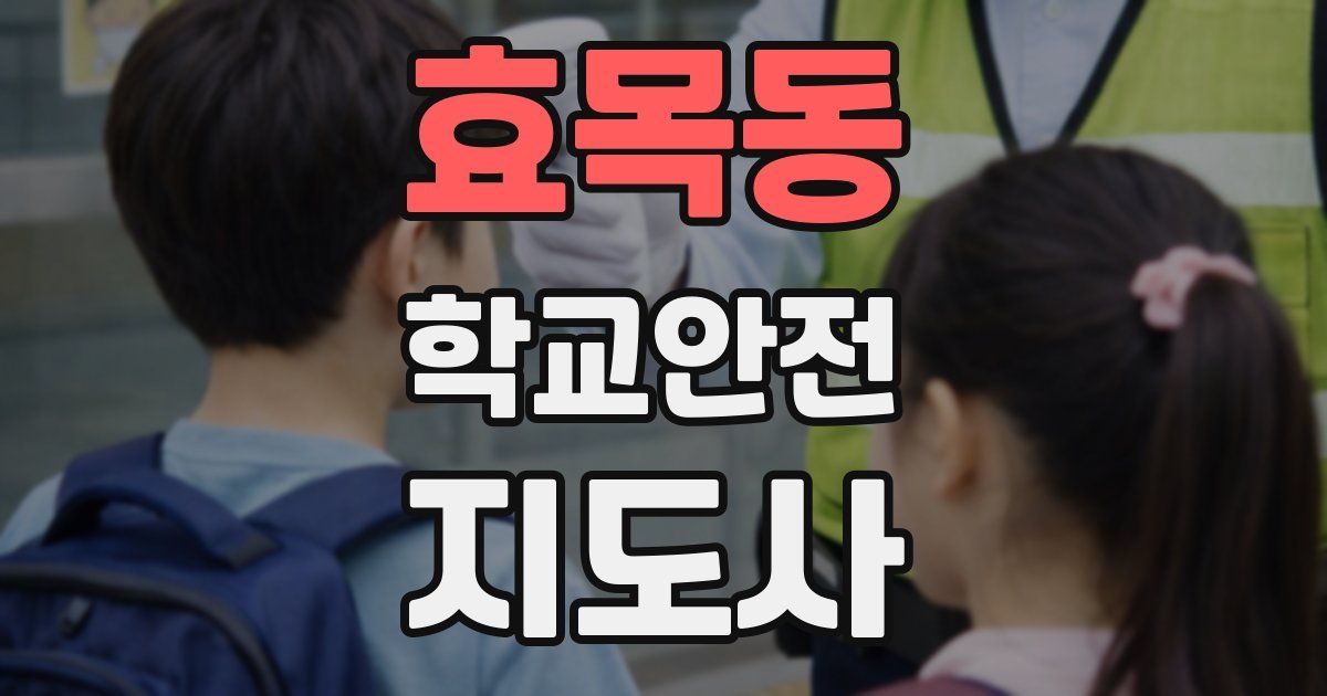 효목동 학교안전지도사 자격증