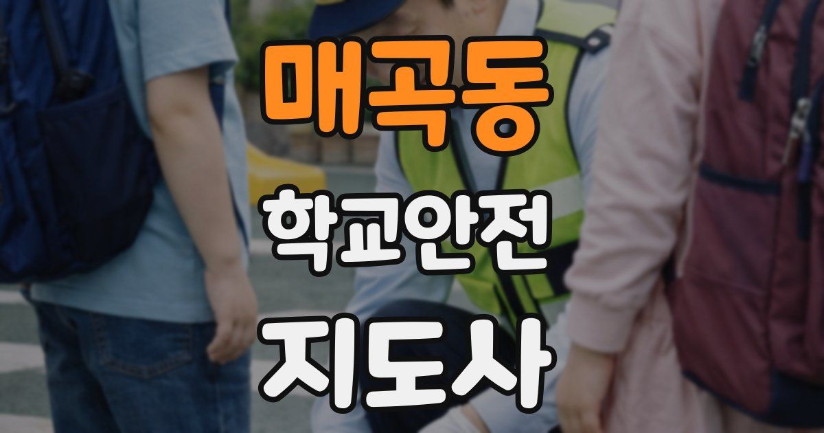 매곡동 학교안전지도사 자격증