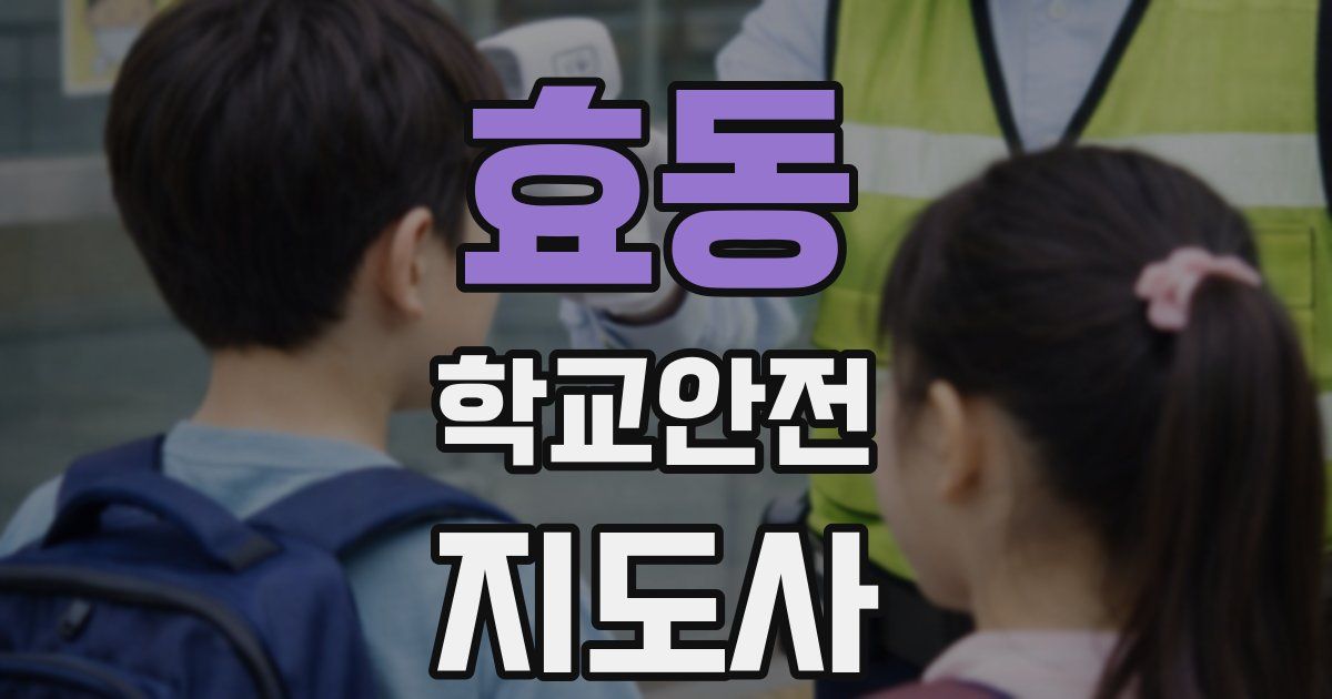 효동 학교안전지도사 자격증