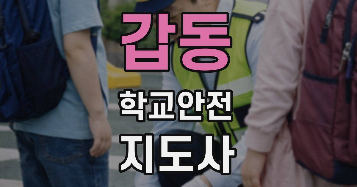 갑동 학교안전지도사 자격증