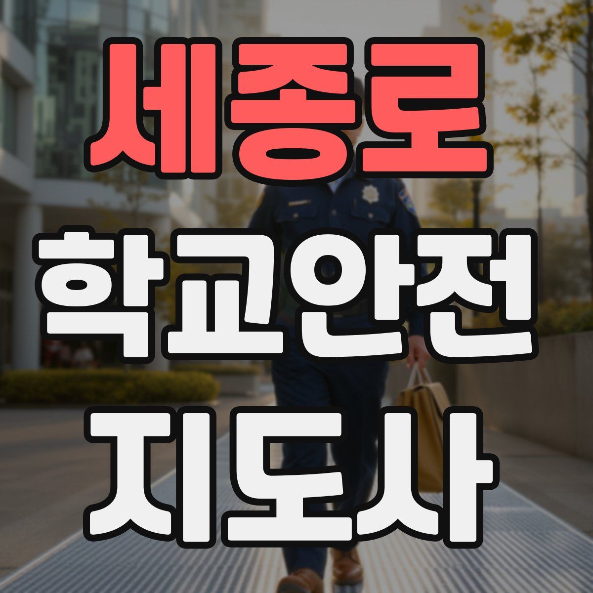 세종로 학교안전지도사 자격증